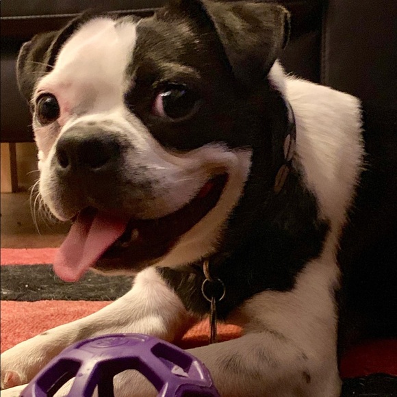 Meet your Posher, Andrew - Picture 1 of 1